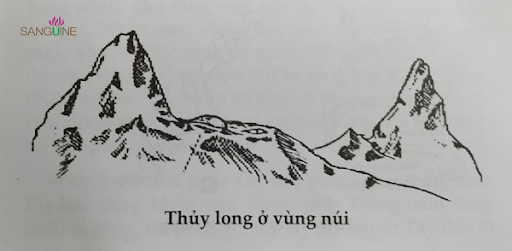 unnamed (10)